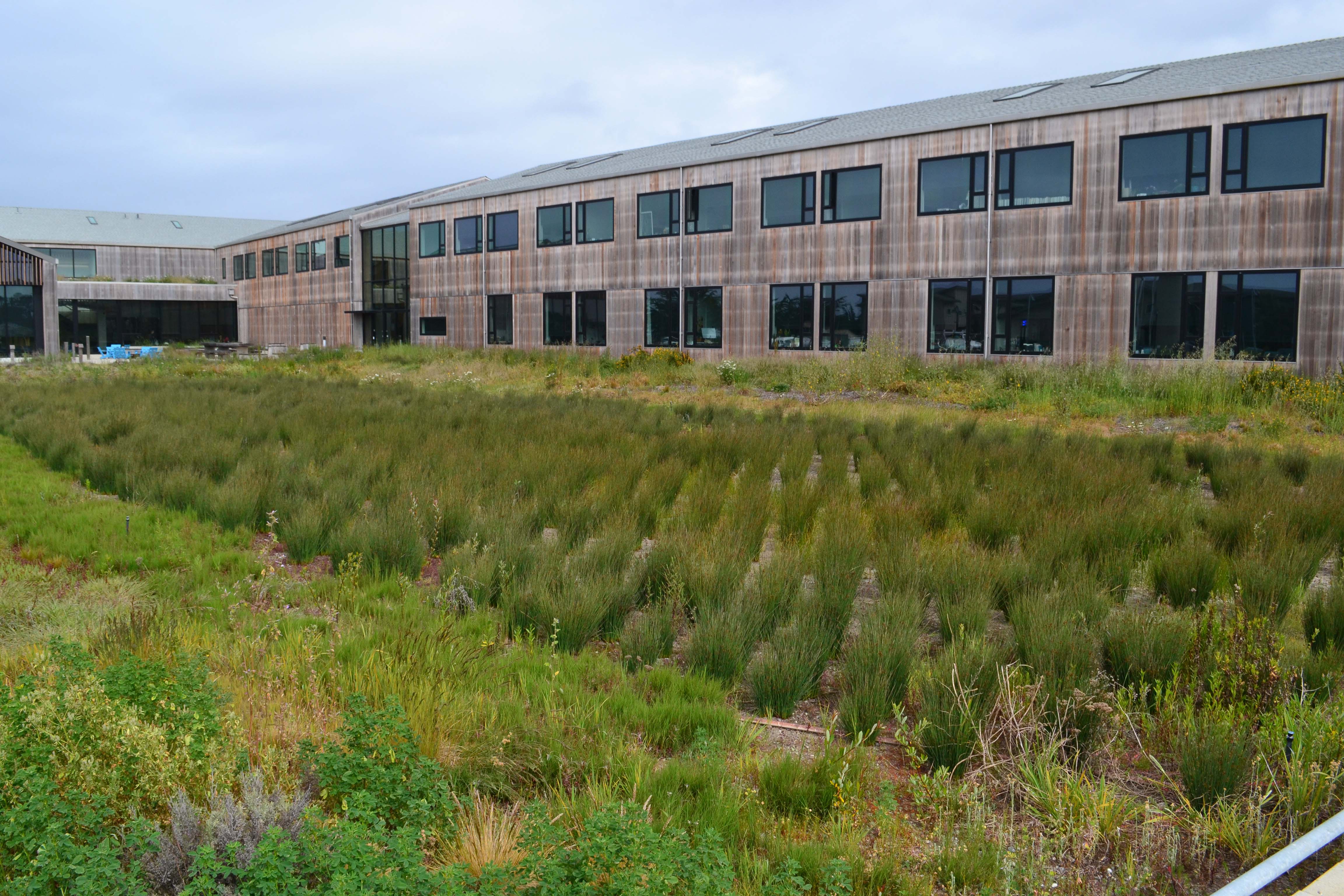 UC Santa Cruz Coastal Science Campus